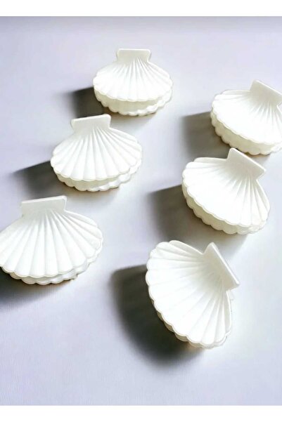 modares 6 Pieces Seashell Clam White Model Latch Clasp Large Size 7 cm
