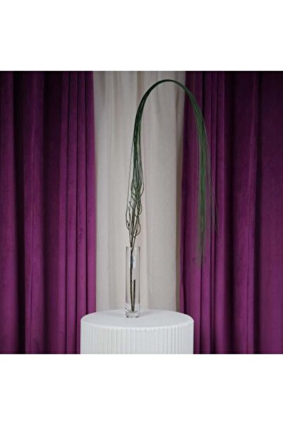 Gifts World ساق نبات اصطناعي طويل