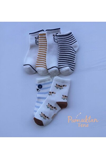 Pamuktan Tene 6 Çift Organik Pamuklu Bebek Çorap 24-36 Ay