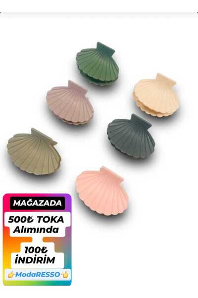 modares 6 Pieces Seashell Clam Open Colorful Model Clasp Buckle Large Size 7 cm