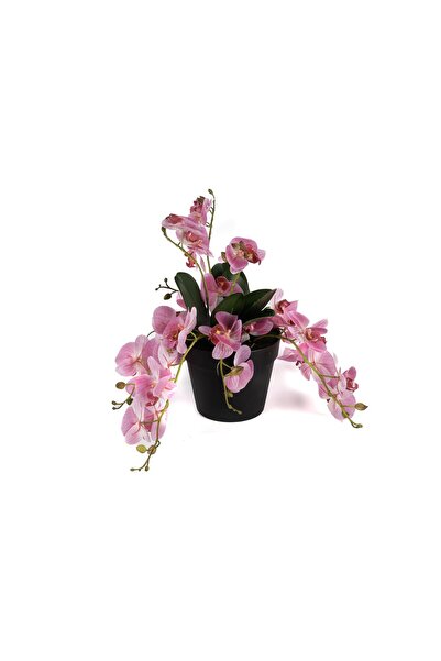 Mikasa Moor Orhidee artificială roz suspendată 33cm
