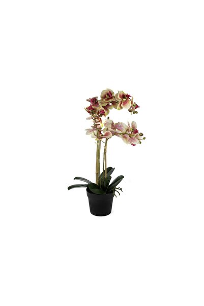 Mikasa Moor Pebme 3 lü Yapay Orkide 65cm