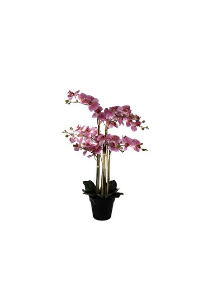 Mikasa Moor Pebme 8'li Yapay Orkide 110cm