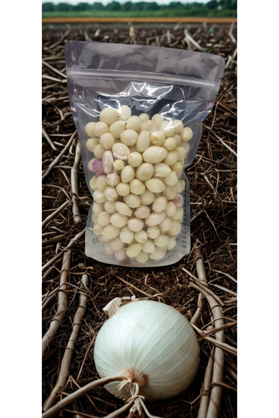 GÜROL SARIMSAK KOKUSUNDA AŞK VAR SOYULMUŞ ARPACIK SOĞAN 1000gr