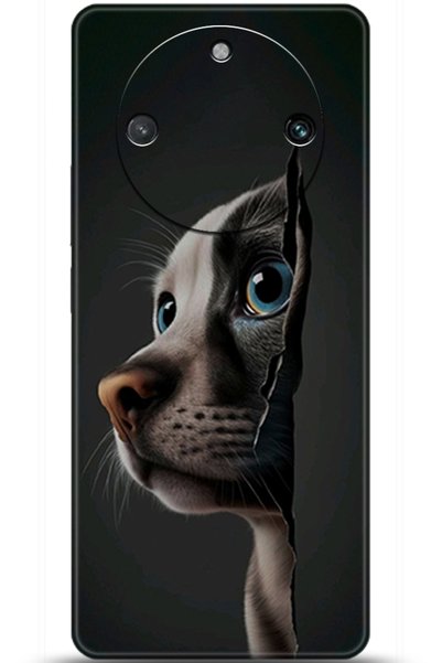 realme 11 Pro Compatible Case Hd Printed Case