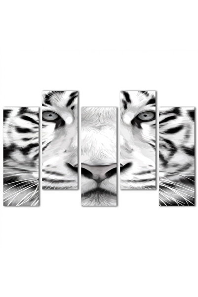 Generic Wall panel - White tiger - 1527 - divided into five graduated pieces - 2