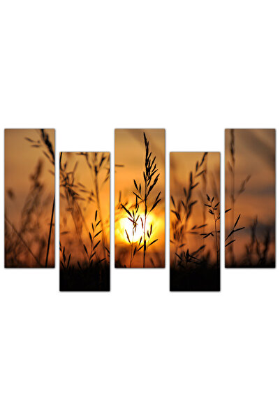 Generic Wall panel - Sunset - 1510 - divided into five graduated pieces - 2
