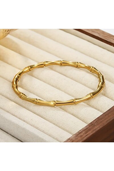 NevoAccessory Women's Stick Design Steel Bracelet