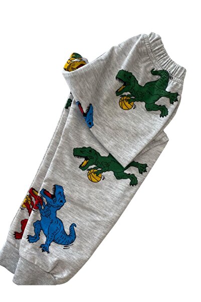 Arya Nisa Kids Boys' Colorful Seasonal Cotton Pajama Set with Dinosaur Figures
