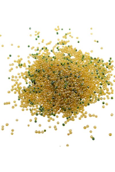 Serhat Aksesuar ve El İşçilik 08 خرز رملي 2 لون عسلي وأخضر 3 مم (100 جرام 600...