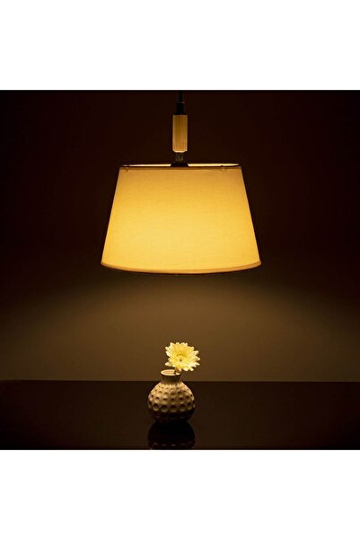 OEM LED Bulbs E14 2W (A37) 3pcs - White Light