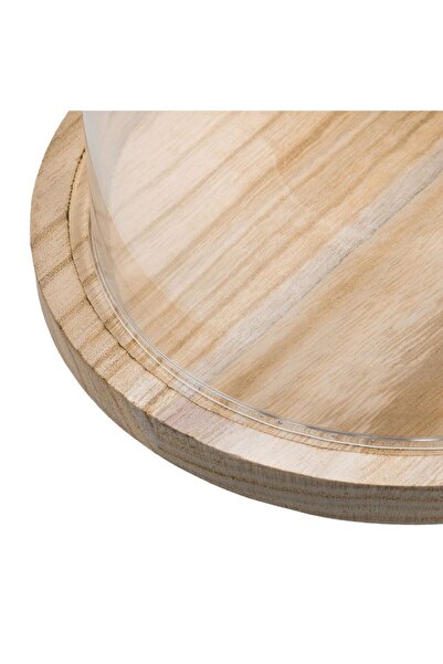 OEM Decorative Glass Dome with Wooden Base Ø20x31cm