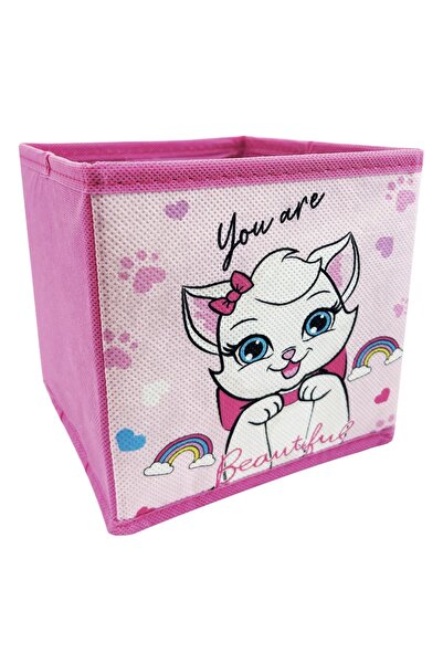 OEM Fuchsia Rainbow Cat Storage Box 15x15x15cm