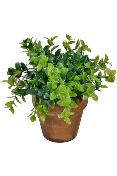 OEM Ghiveci Decorativ cu Planta Artificiala Bonsai 15cm