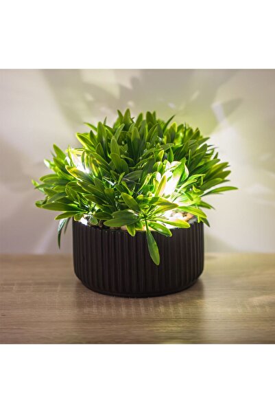 OEM Decorative Pot with Green Plant & Battery Operated LED Lights Ø16x15cm