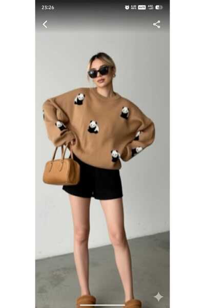 cheen Women's Panda Detailed Biscuit Color Knitwear Top Sweater