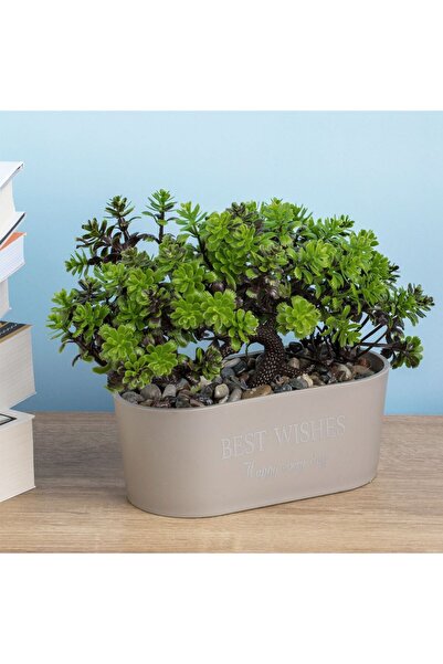 OEM Decorative Pot Taupe with Artificial Bonsai Plant & "Best Wishes" Message 15x7x17cm