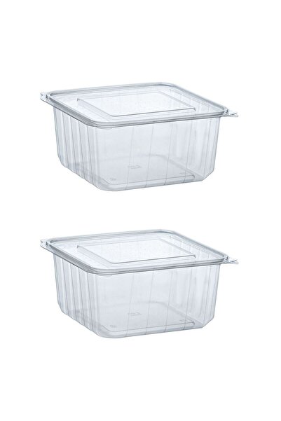OEM Transparent Plastic Food Containers with Lids 2000cc - 2pcs