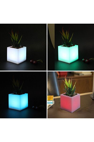 OEM Decorative Flower Pot with Multicolor LED & Plant 7.5x7.5x19cm