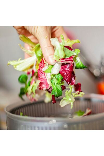 OEM White Taupe Plastic Salad Dryer Ø25x14.5cm - 4.5L