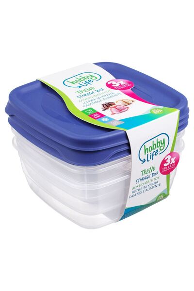 OEM Set of Transparent Casseroles with Blue Lids 500ml - 3pcs