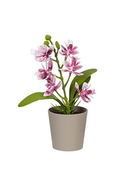 OEM Decorative Beige Plastic Pot with Artificial Orchid Plant Ø6x17cm