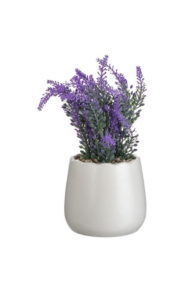 OEM Ghiveci Decorativ Ceramic Alb cu Planta Artificiala Lavanda Ø11x24cm