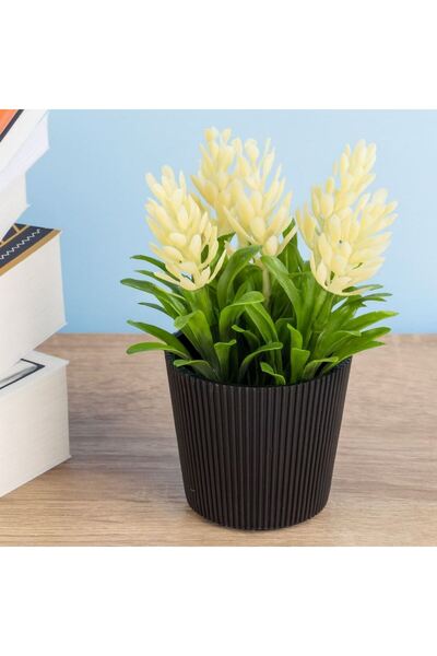 OEM Ghiveci Decorativ Negru cu Planta Artificiala cu Flori Albe Ø6x14cm