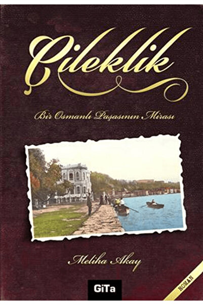 Gita Yayınları Çileklik