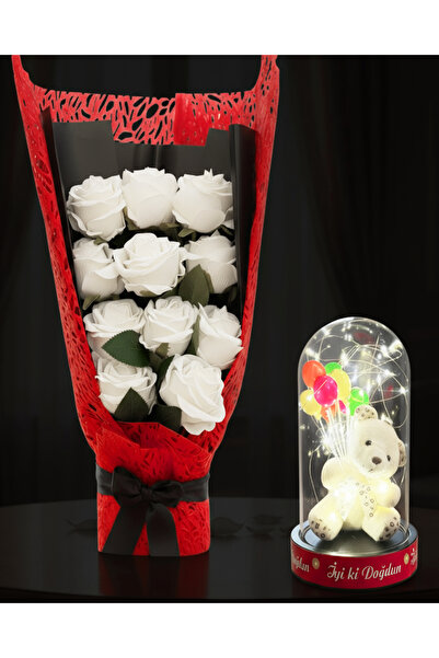 lenostra Ablaya Dogum Gunu Hediyesi - Ablaya Hediye - Ledli Fanus ve Beyaz Gü...