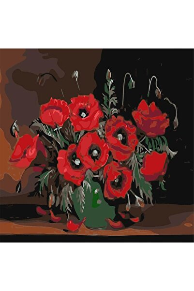 OEMN Pictura pe numere 40 x 50 cm vaza cu maci