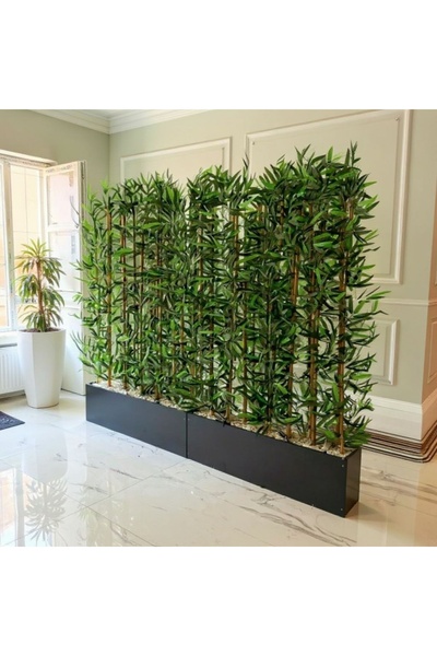 ERHAN FLOWERS 240 cm saksıda 200 cm 48 adet 200 cm bambu