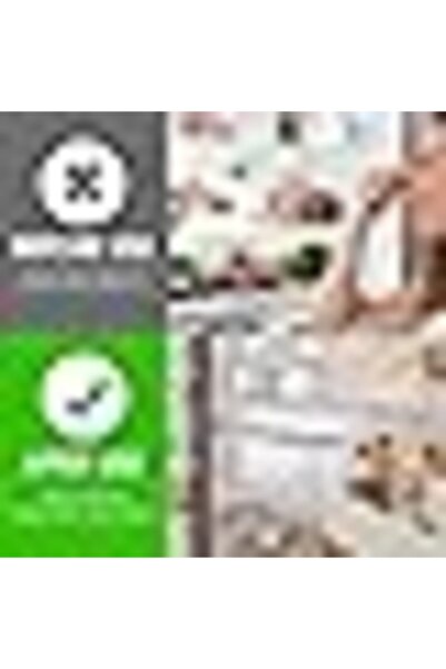 The Bros Fruit Storage Containers Fridge Airtight Boxes Removble Colnders To Keep Produce Fresh