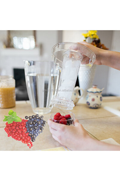 Other Popular Fruit Infusion Water Jug 2.5L Ice Core for Flavoring and Infusing Water