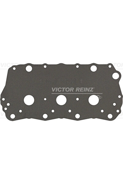 VICTOR REINZ Garnitura Capac Supape Land Rover Freelander 1