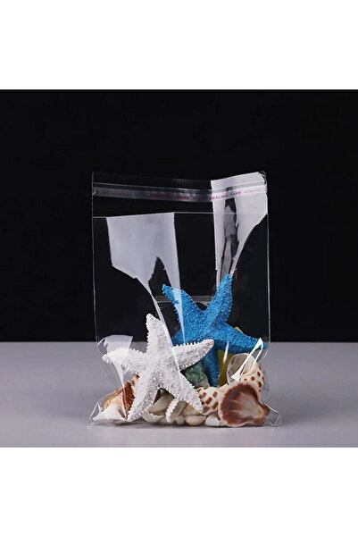 Anadolu Ambalaj Market Opp Yapışkan Bantlı Poşet 12x20 cm 1000 Adet Bijuteri,...