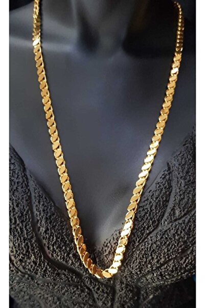 GWOMA Kadın Çelik Kolye - Arpa • Pul • Halep Zincir • 18 Ayar Kayısı Renk Alt...