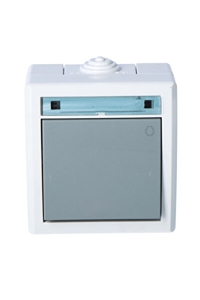 Other Întrerupător de lumină aparent IP55 gri AQUANT