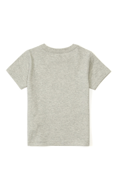 Polo Ralph Lauren Gray Unisex Kids T-shirt