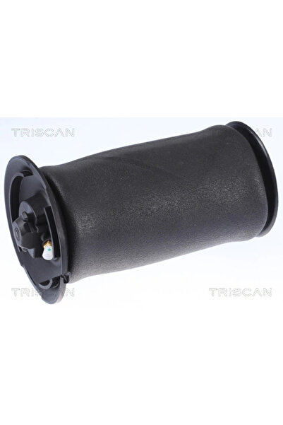 TRISCAN Arc Pneumatic Directie Bmw 5