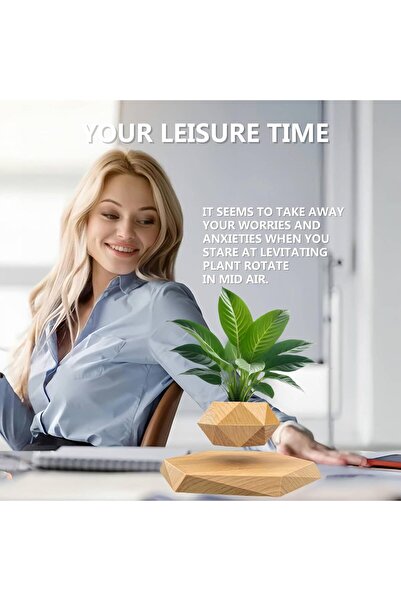 Generic Levitating Air Bonsai Pot - Levitating Plant Pot (Wooden)