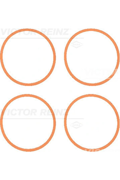 VICTOR REINZ Set Garnituri, Galerie Admisie 11-37616-01 Bmw 1/3/3 Touring Bmw...