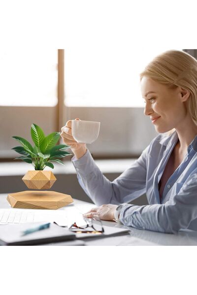 Generic Levitating Air Bonsai Pot - Levitating Plant Pot (Wooden)