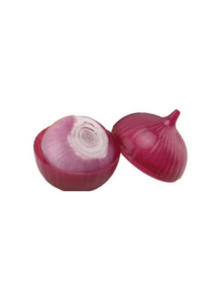 vivimall Red Onion Model Food Container | FoodKeeper