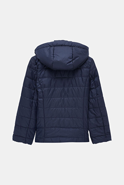 W Collection Dark Blue Hooded Coat