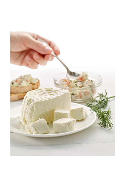 vivimall Cheese preparation container with silicone lid | CheeseCraft