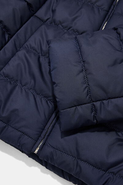 W Collection Dark Blue Hooded Coat