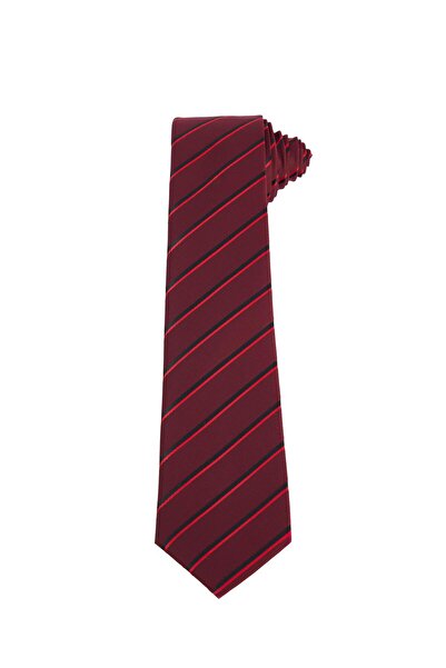 Tudors Patterned Classic Men's Tie with Pocket Handkerchief