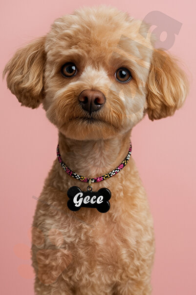 Petella İsimli Köpek Kolyesi Çiçek Desenli Ayarlanabilir Köpek Tasması