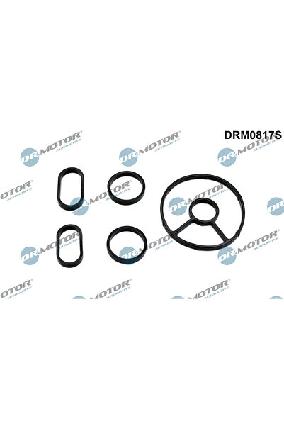 DR.MOTOR AUTOMOTIVE Set Garnituri Radiator Ulei Citroen C4 1/C4 2/C4 Grand Pi...